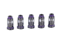 VapX Model 10 Heads 0,25 Ohm