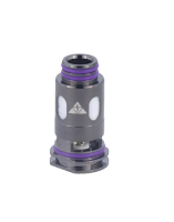 VapX Model 10 Heads 0,25 Ohm