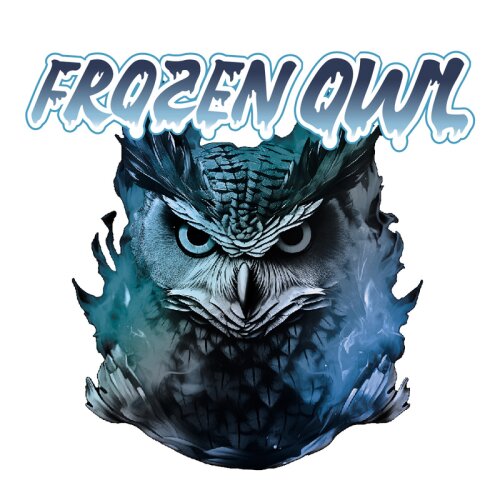 top-marken-frozen-owl.jpg